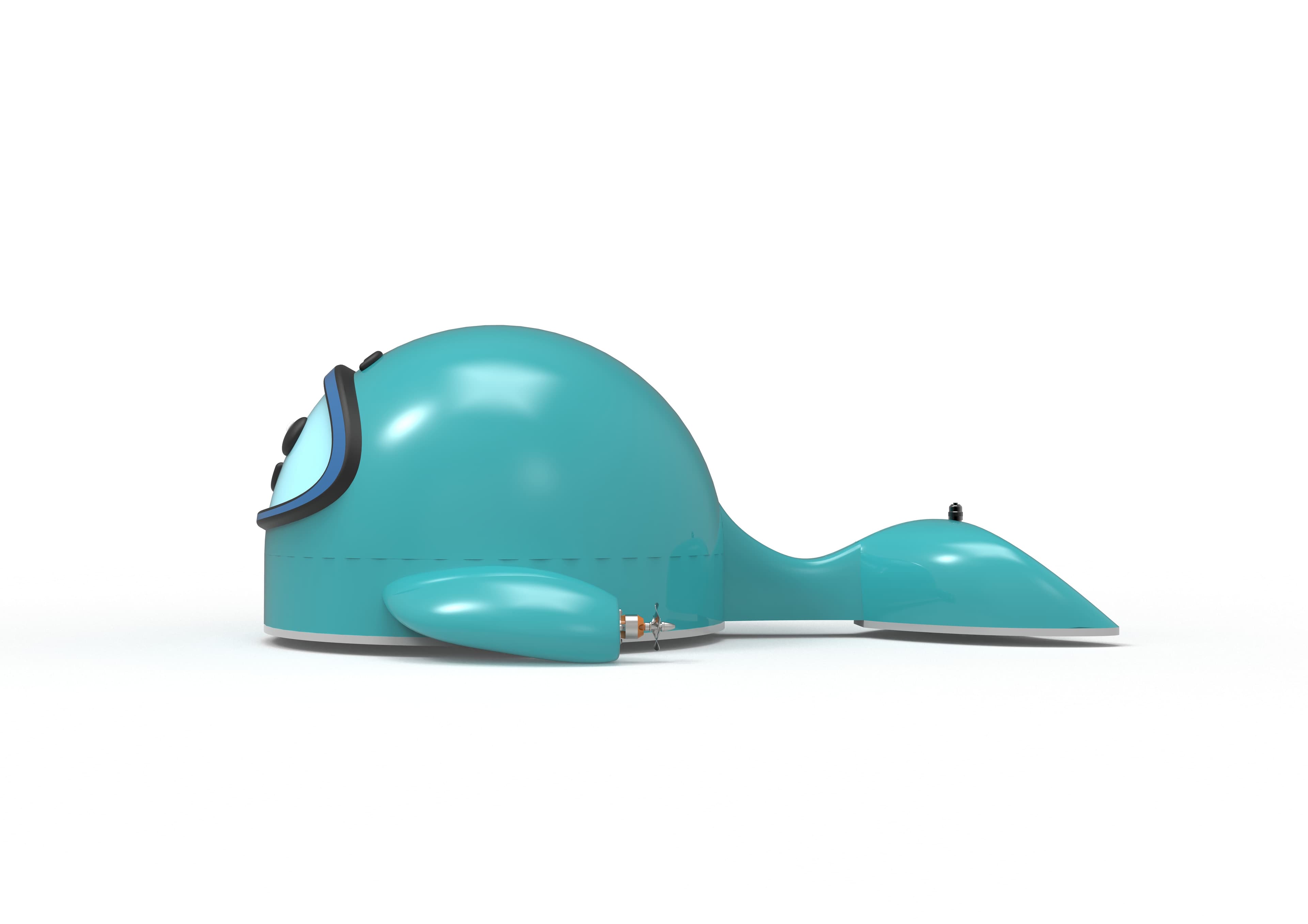 Demonstration Product Image