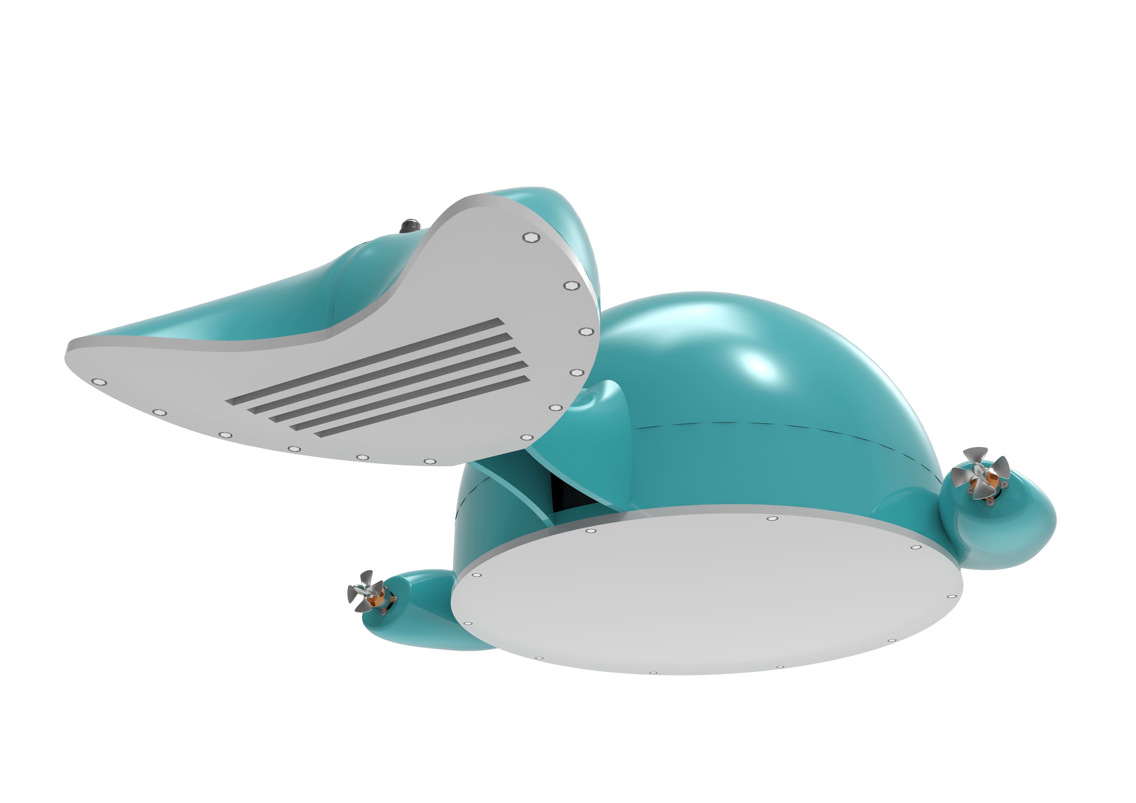 Demonstration Product Image